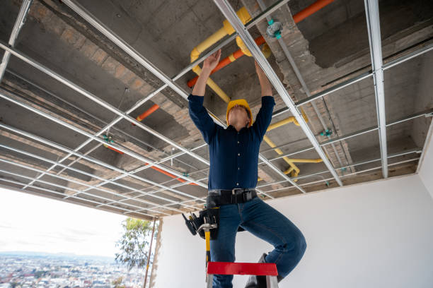 Best Plumbing Inspection Services  in Bennett, CO